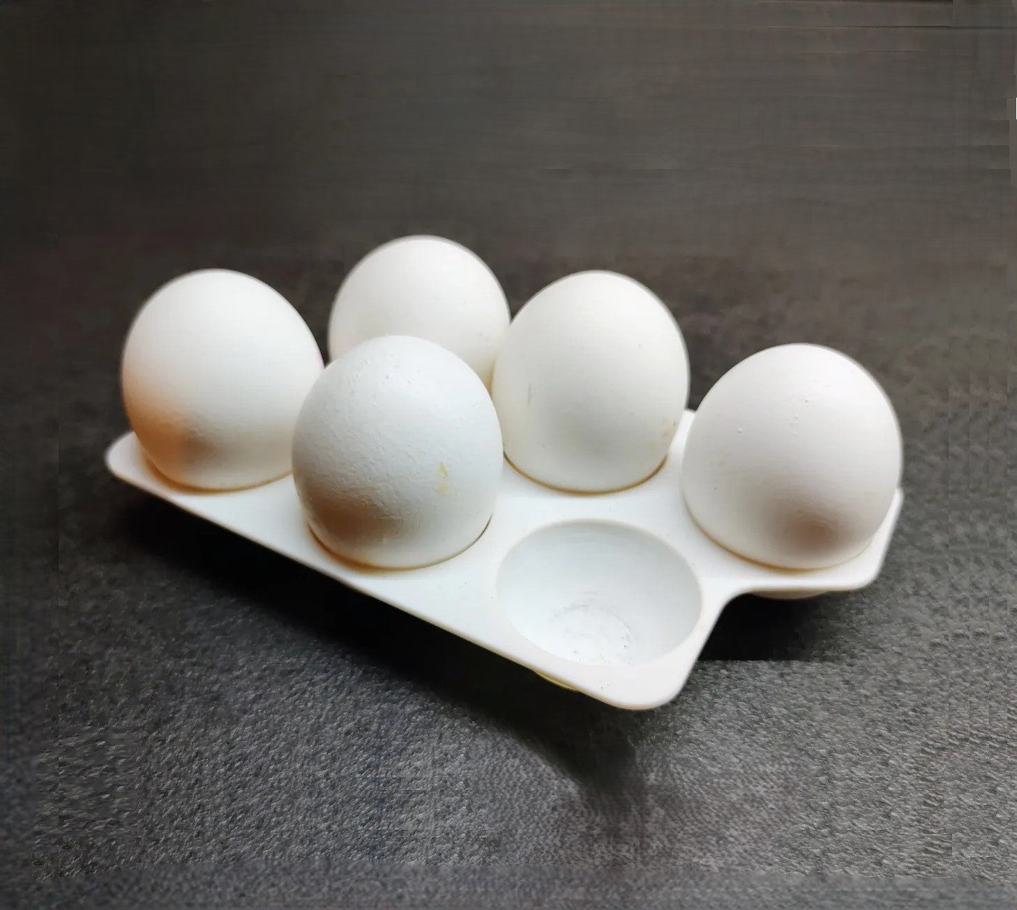 Egg Holder Tray 6 Girds, Plastic Egg Storage Tray Leakproof Shockproof