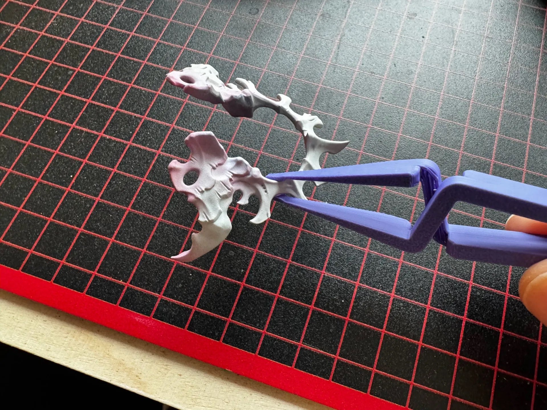 Self-Locking Cross Tweezer - Precision Tool for Picking Small Items