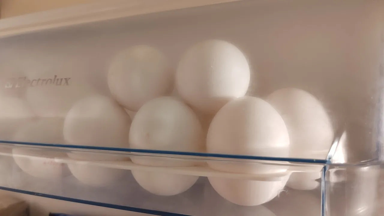Egg Holder Tray 6 Girds, Plastic Egg Storage Tray Leakproof Shockproof