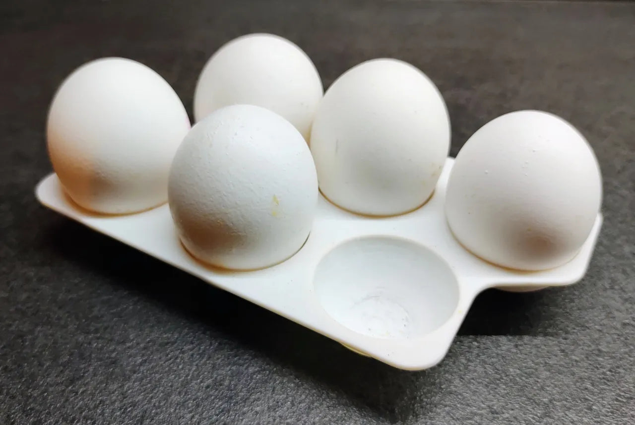 Egg Holder Tray 6 Girds, Plastic Egg Storage Tray Leakproof Shockproof