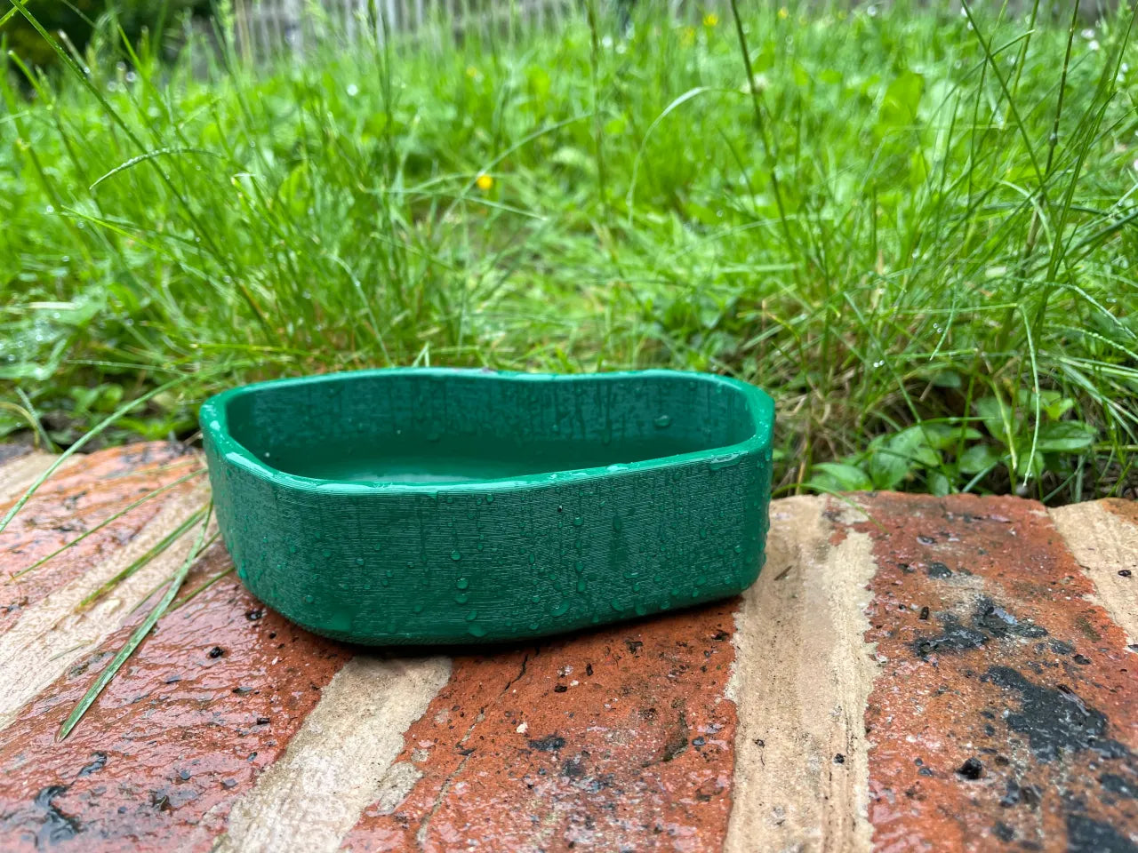 Bird Bath Tub Water Bowl for Garden- Bird Feeding Bowl - Multicolour