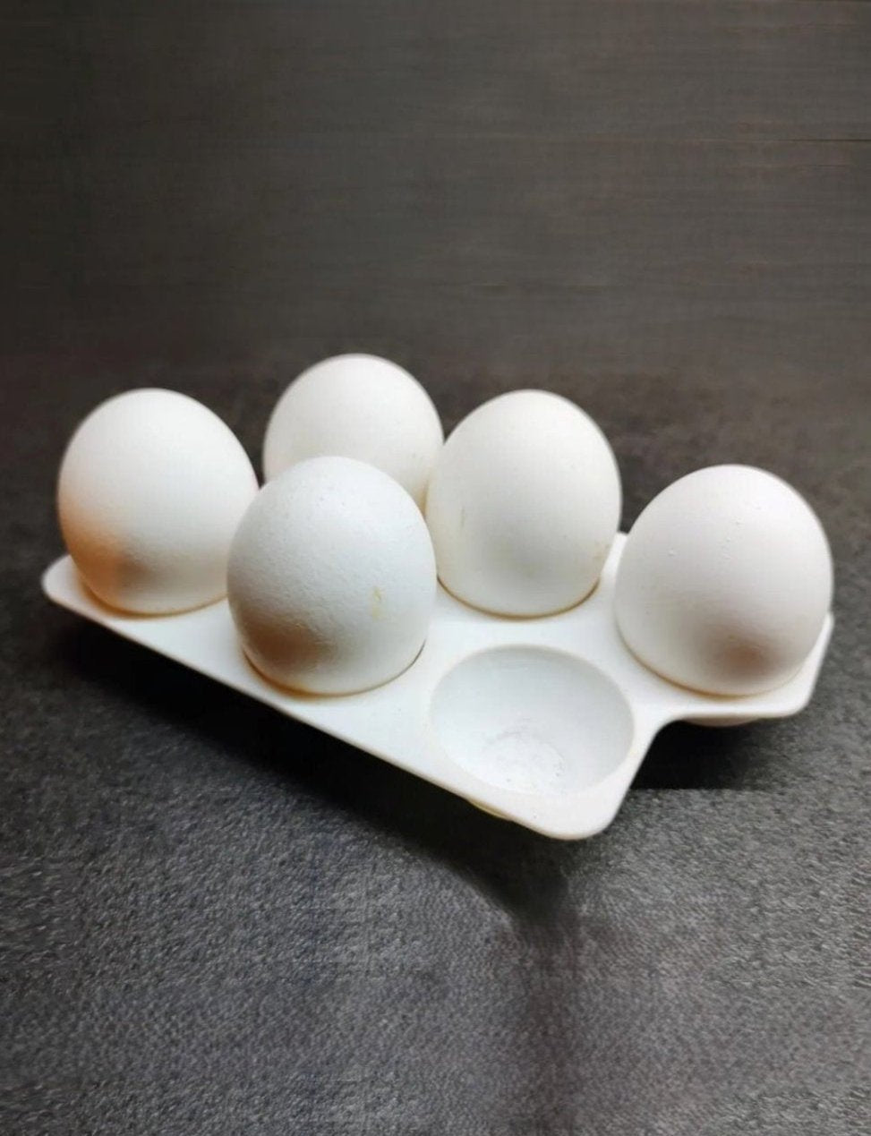 Egg Holder Tray 6 Girds, Plastic Egg Storage Tray Leakproof Shockproof