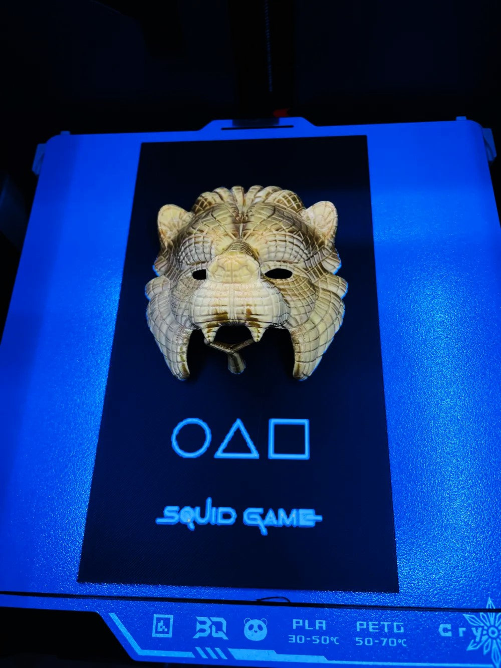 SquidGame Lion Picture Mask Plastic Plate - Unique Lion Plate for Decoration