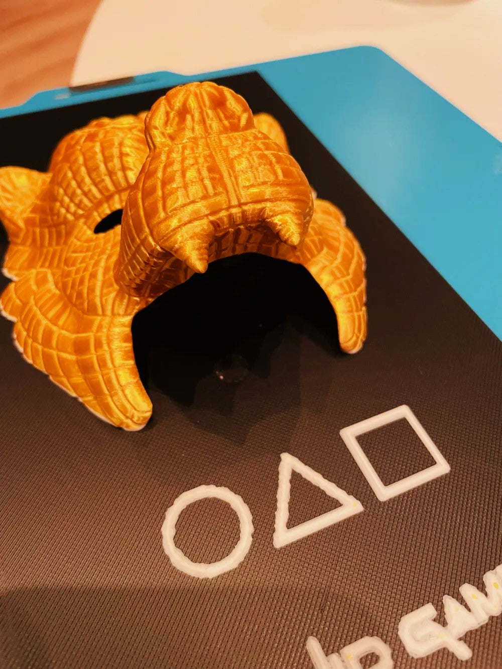 SquidGame Lion Picture Mask Plastic Plate - Unique Lion Plate for Decoration