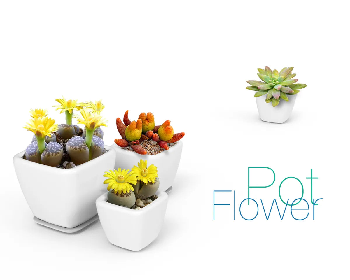 2Pcs Small White Plant Pots Indoor-Plastic Flower Pots with Tray