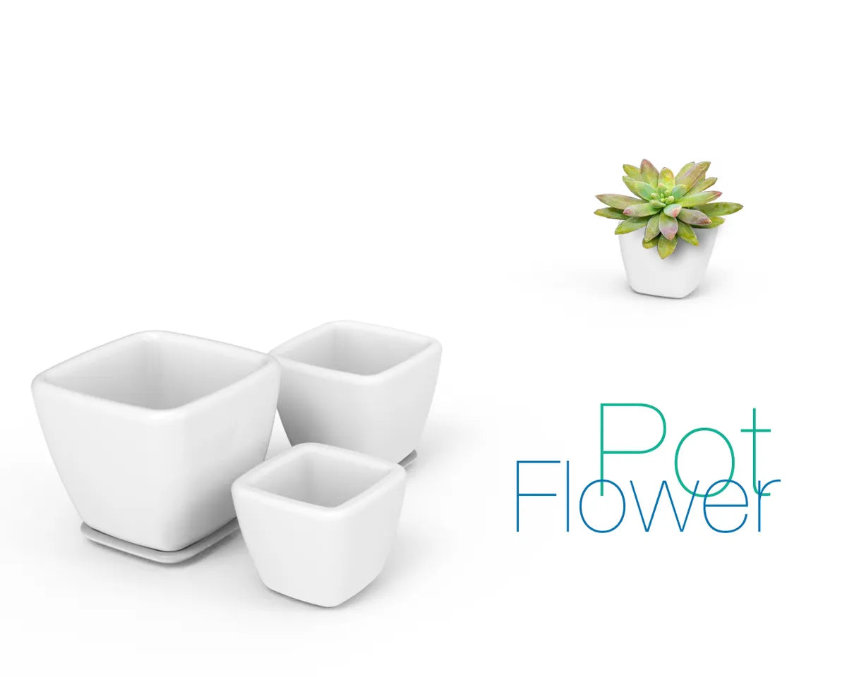 2Pcs Small White Plant Pots Indoor-Plastic Flower Pots with Tray