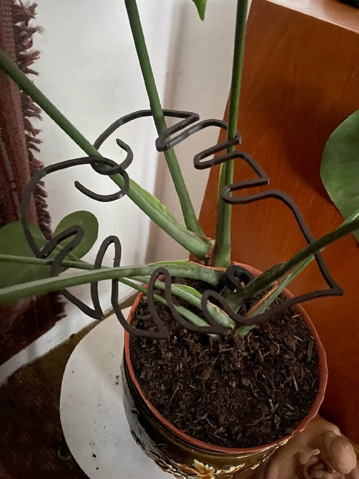 Monstera leaves helper -6 Pcs Plastic Monstera leaves helper Leaf Shape