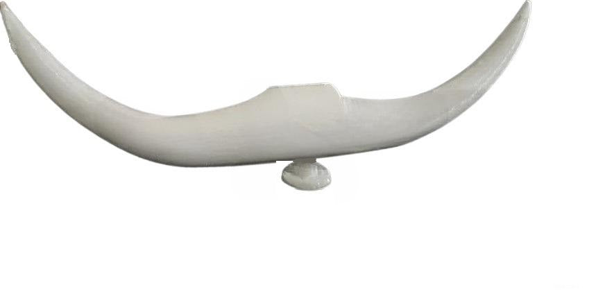 Texas Bull Horn Shoe Charms - Durable Plastic Shoe Decorations, 2 Pcs Set